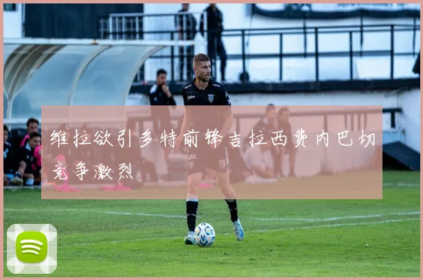 维拉欲引多特前锋吉拉西费内巴切竞争激烈